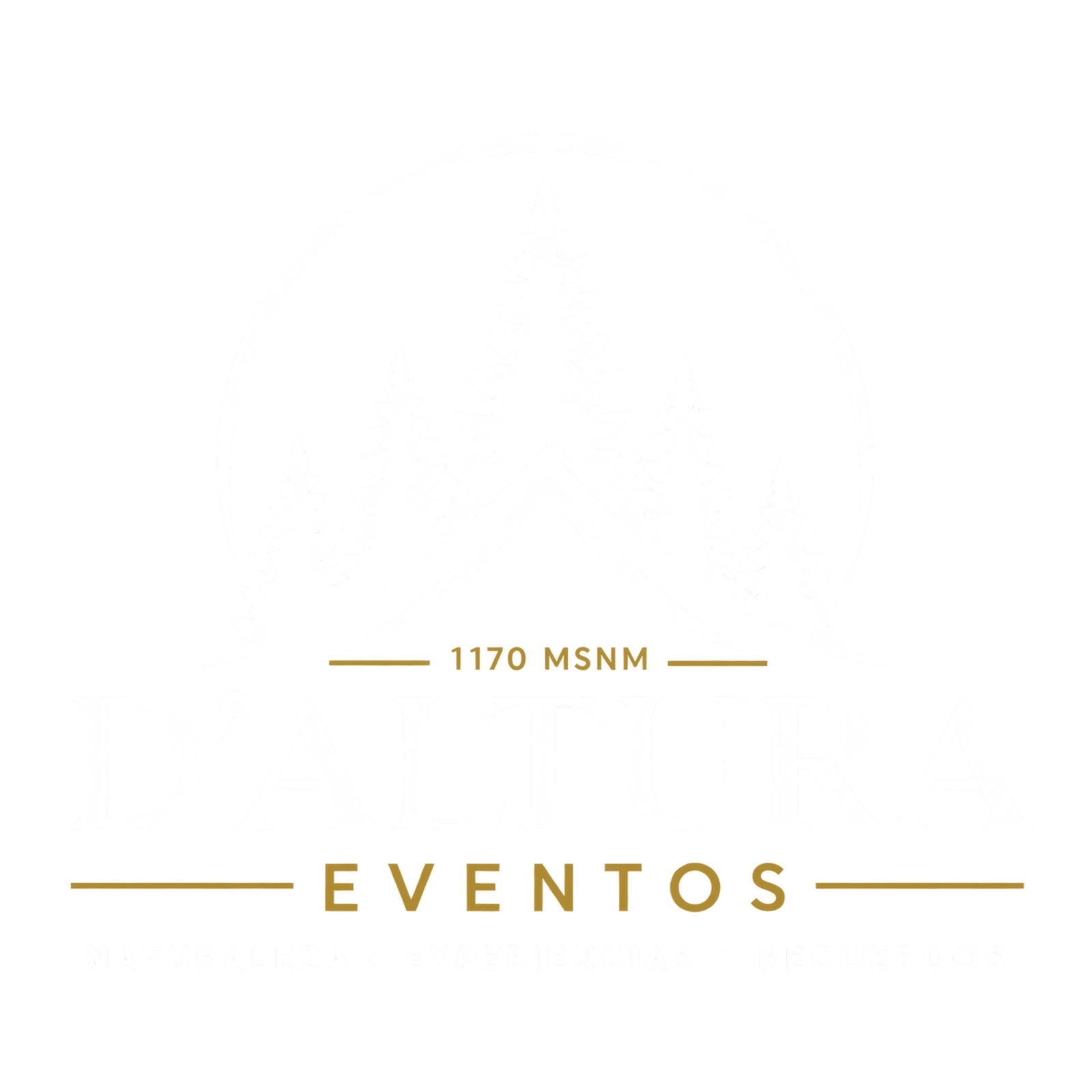 D'Altura Eventos